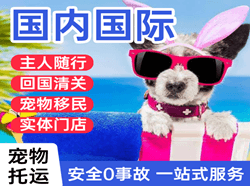 三源浦航空快运国际宠物托运 【国